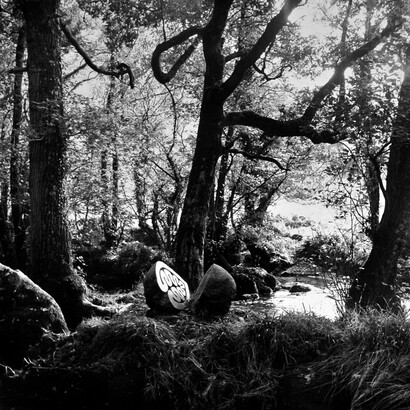 Peter Randall-Page, Granite Song 2, c.1992. From the New Milestones collection. Courtesy of YSP © Jonty Wilde