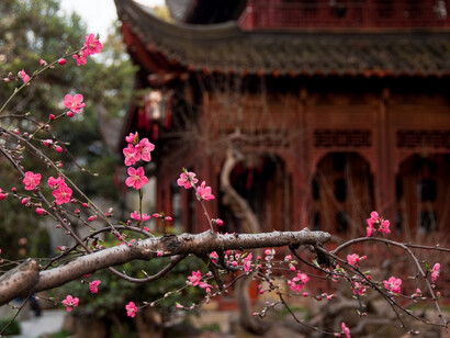 Jardim Yuyuan, Shanghai. Fotografia Alberto Montalbetti, 2010