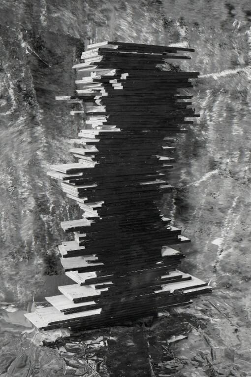 Nico Krijno. Courtesy of Elizabeth Houston Gallery