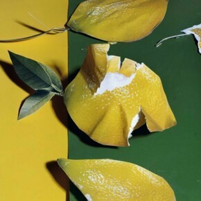 Daniel Gordon, Lemons, 2013, C-Print, Ed. 3 + 1 AP, 7x9" / 17.8x22.9cm
