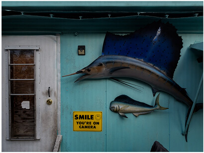 Obra de la serie «Trailers» de Sebastián Elizondo