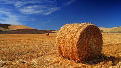Vita in campagna