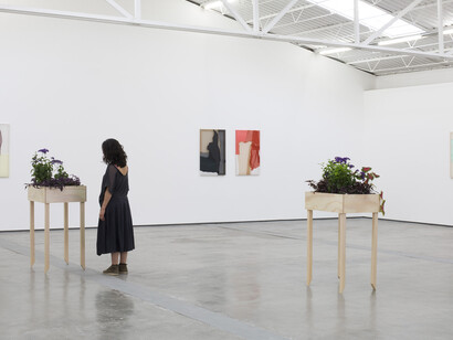 Anna Virnich. Courtesy of Proyectos Monclova