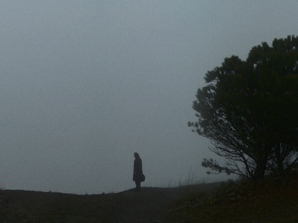 Ori Gersht, Evaders, Fix In Time, 2009