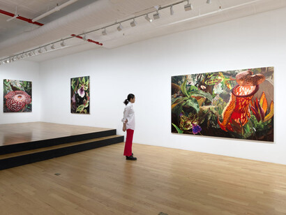 Kate Bickmore, On the precipice, exhibition view. Courtesy of Chart Gallery