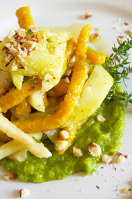 Strozzapreti bicolore con curcuma e crema di zucchine speziata con timo fresco e  nocciole tostate  