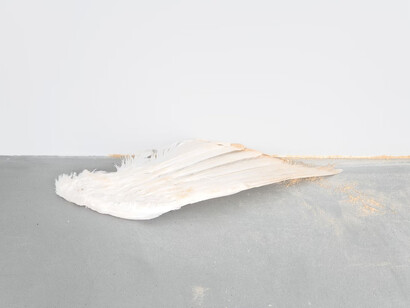 Cathy Wilkes, exhibition view. Courtesy of Xavier Hufkens