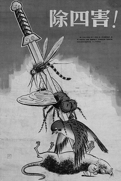 Cartel publicado en 1958 con las especies objetivo de la Campaña de las Cuatro Plagas: el mosquito, la mosca, el gorrión y la rata