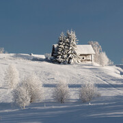 Yuri Ovchinnikov, The seasons. Courtesy of Erarta Museum