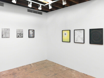 Snowflake. Courtesy of Magenta Plains