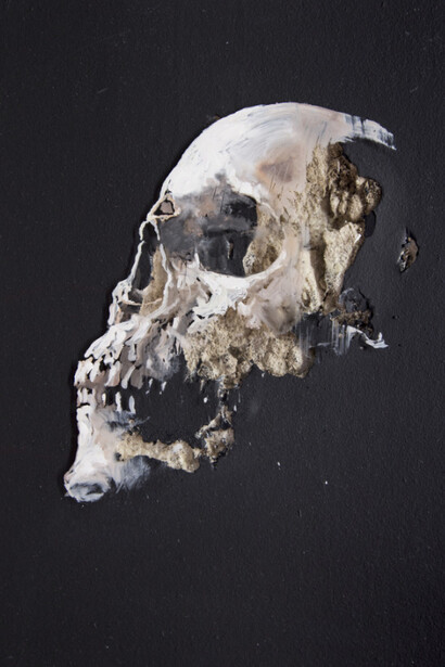 Hedgehog's Skin. Courtesy of Ivy Brown Gallery