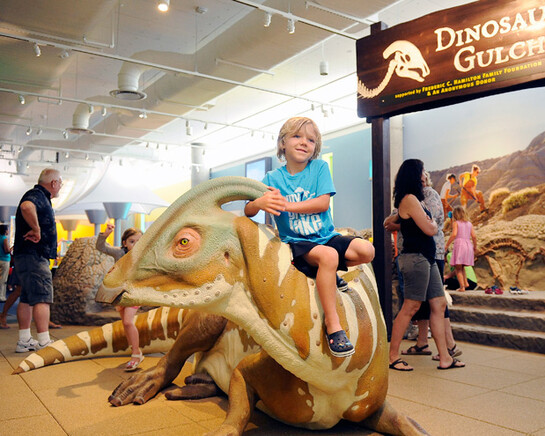 Discovery Zone. Courtesy of Denver Museum of Nature & Science
