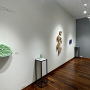 Amber Cowan, exhibition view. Courtesy of Momentum Gallery 