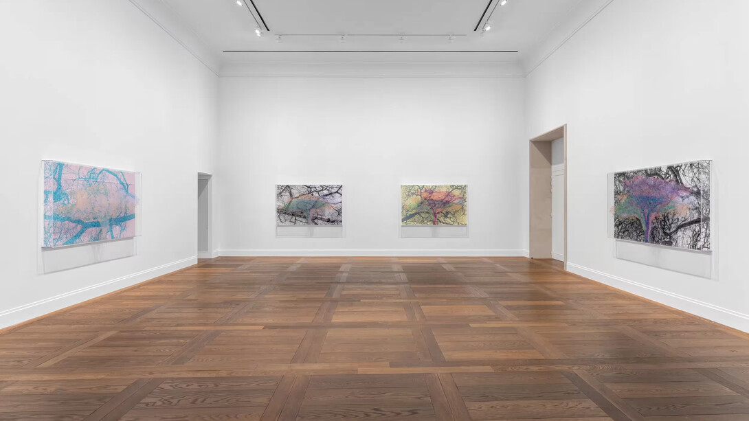 Charles Gaines, Ciphering african acacias and supreme court decisions, exhibition view. Courtesy of Hauser & Wirth Gallery