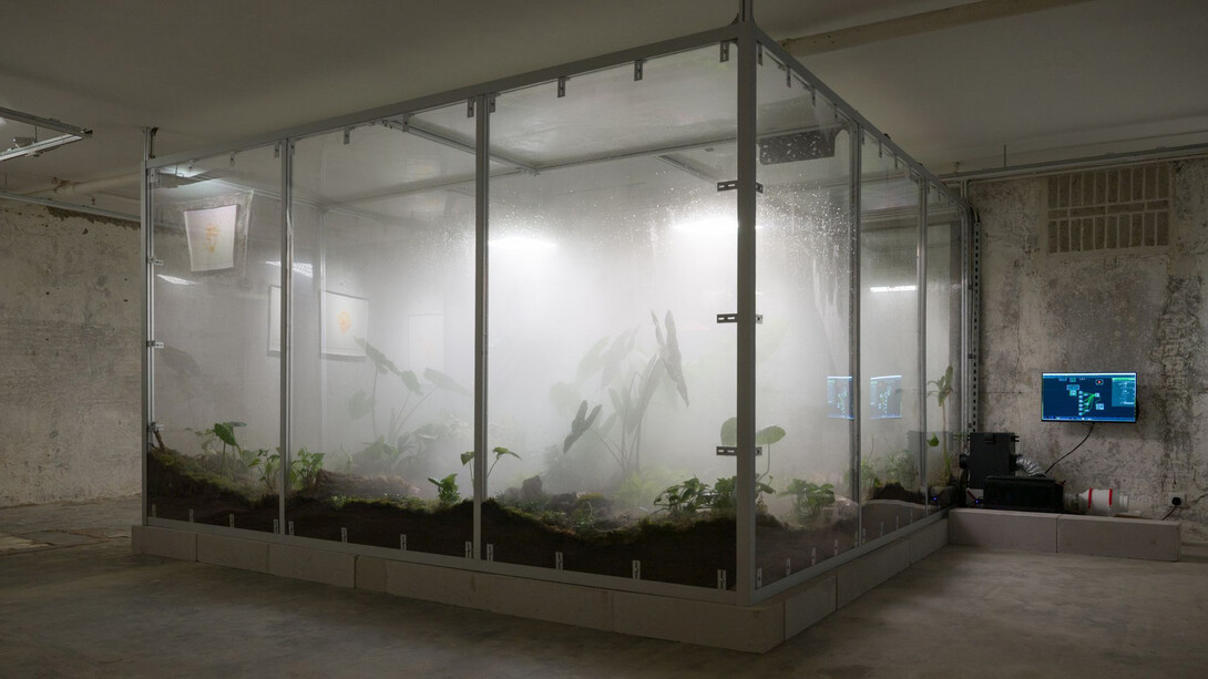 Zheng Mahler, Mushroom clouds, exhibition view. Courtesy of PHD Group