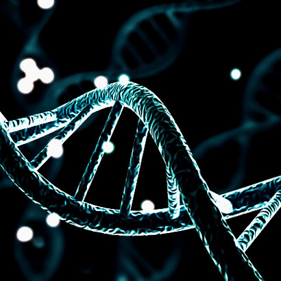 DNA analysis changes the language in which we understand race or ethnicity