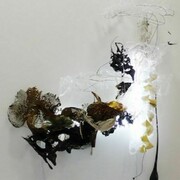 Accola Griefen Gallery