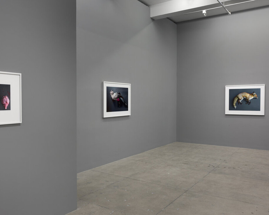 Thomas Struth. Courtesy of Marian Goodman Gallery
