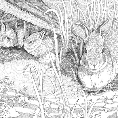 Michael Stillwater, Forest Family, detail