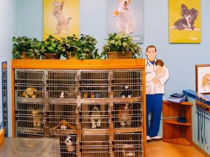 Pet Hospital. Courtesy of Portland Children's Museum