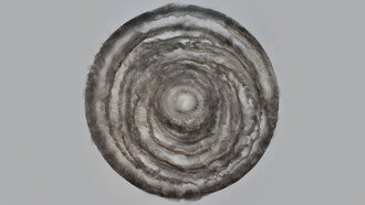 Miguel Hernández Bastos; Enigma (óleo y carboncillo con humo)