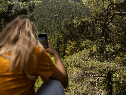 Nature doesn’t judge, it just waits—until we’re ready to return home to ourselves