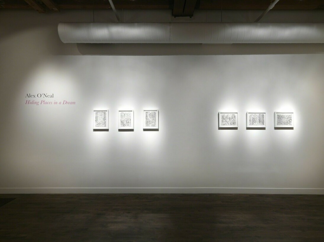 Hiding Places in a Dream, Exhibition view. Courtesy of Linda Warren Projects