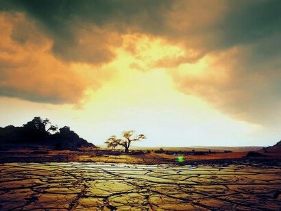 Argumentos para el pesimismo: la desertificación del planeta