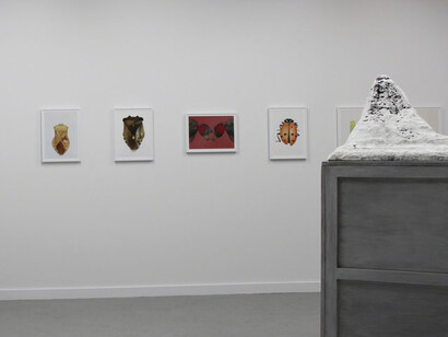 Touched Nature, Exhibition view. Courtesy of Fresh Window Gallery