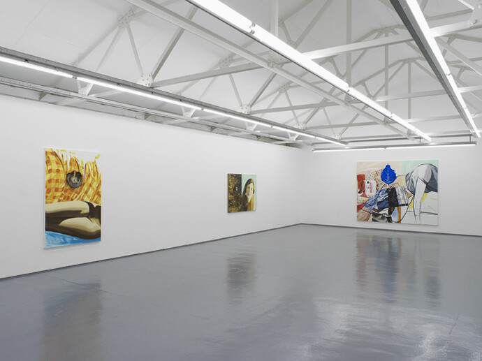 David Salle, exhibition view, Maureen Paley, London,
2014, © the artist, courtesy Maureen Paley, London