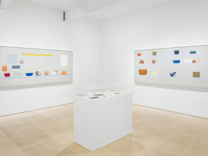 Ed Baynard. Courtesy of Stephen Friedman Gallery
