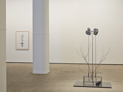 Installation view of The Vertebrae Oracle at Sean Kelly, New York, May 10 - June 21, 2014. Photography: Jason Wyche © Rebecca Horn. Courtesy: Sean Kelly, New York