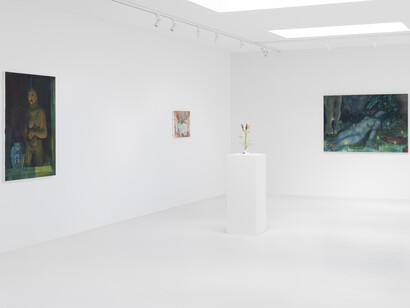 Claudia Koh, Soft spot, exhibition view. Courtesy of Super Dakota