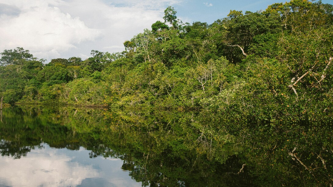 Amazonía