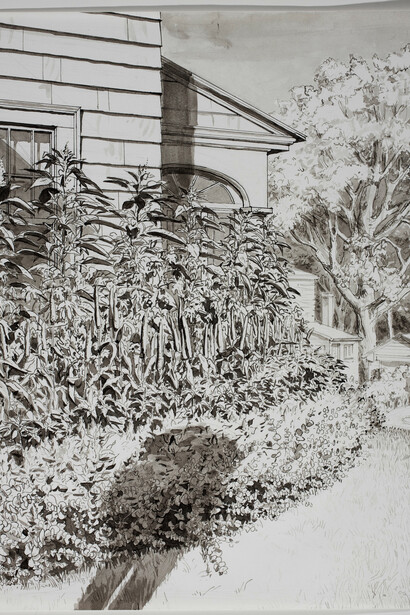 Andrew Raftery, 2nd of September Flowerbed Study with Shadow Pen and Wash