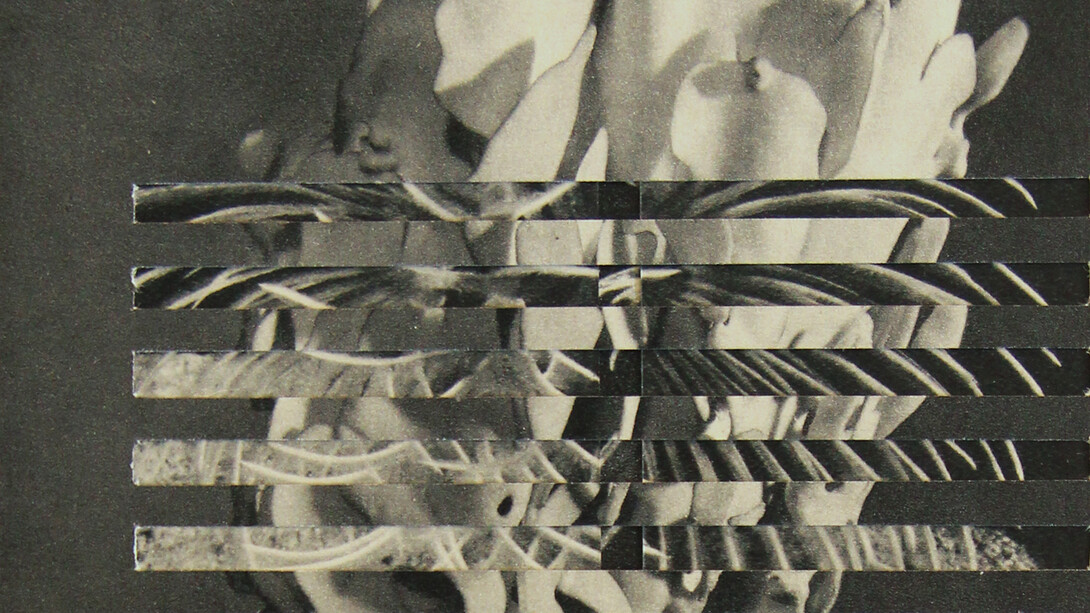 Cristian Chironi, Cutter (beaute_s du fond des mers) libro d'artista intagliato a mano (dettaglio), misure 21x27,5cm (libro chiuso), 2010