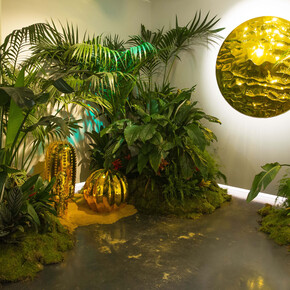 The Lost Planet exhibition 