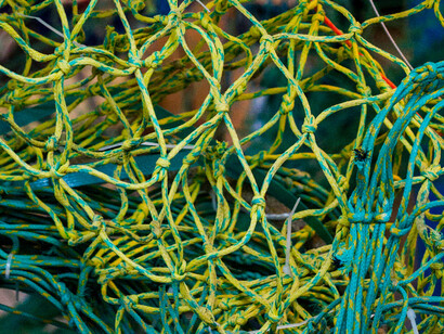 Nacho Carbonell, Entrate. Per gentile concessione del Maxxi