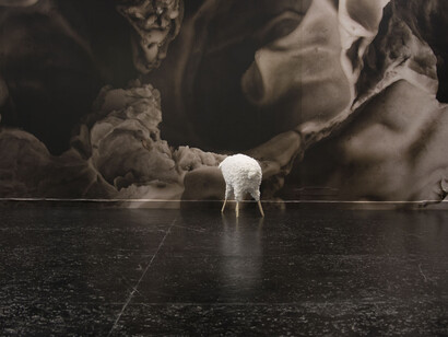 Alis/Filliol Ultraterra, 2016 Materiali vari / dimensioni variabili fotografie di Alice Moschin