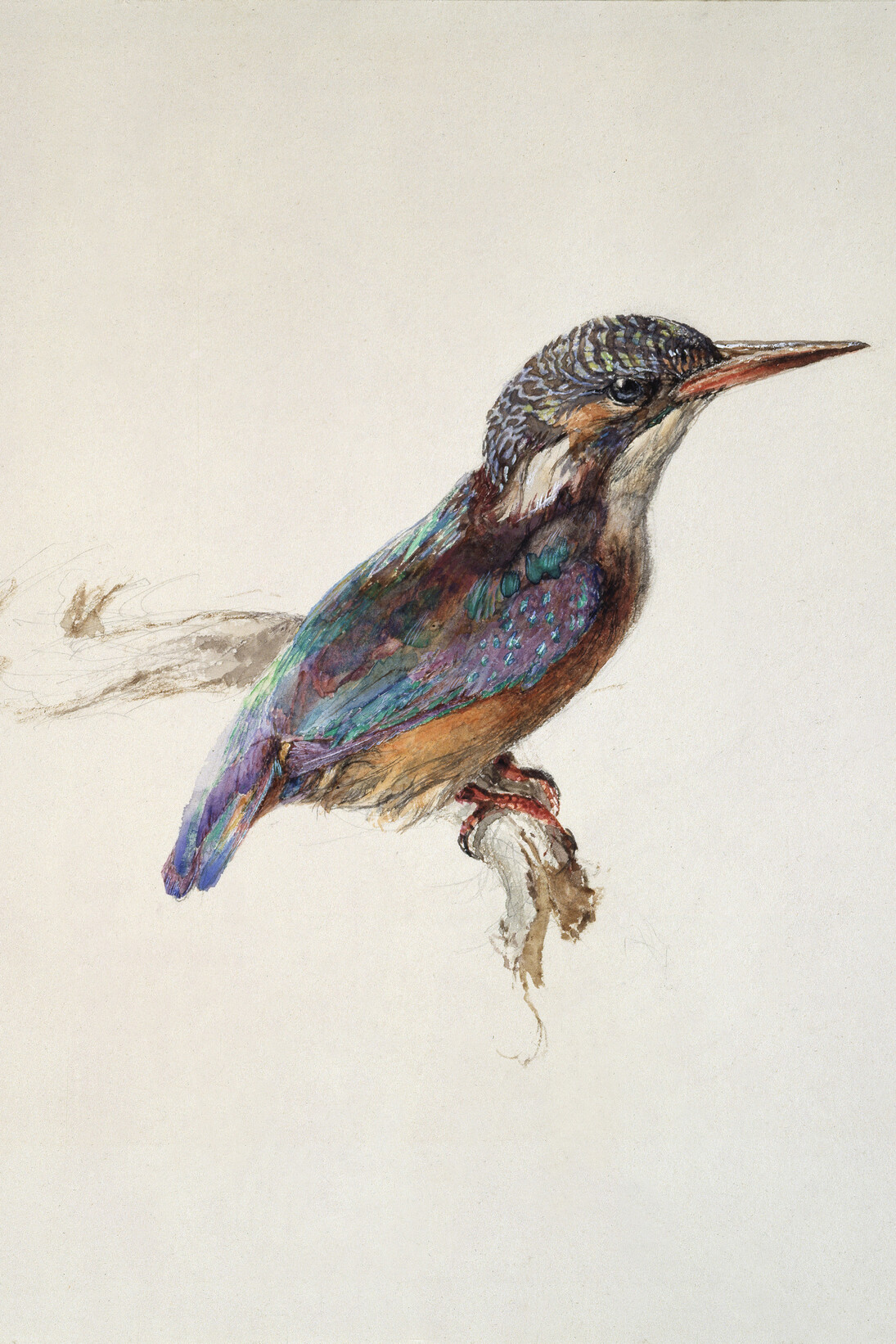 John Ruskin, Study of a Kingfisher, with Dominant Reference to Colour, probably 1871, Watercolour and bodycolour over graphite on wove paper; 25.8 x 21.8 cm, The Ashmolean Museum, Oxford. Presented by John Ruskin to the Ruskin Drawing School (University of Oxford), 1875
