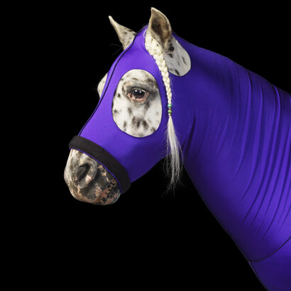 Gallery 8, Tim Flach, Masks Bodysuit