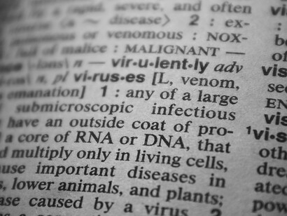 I dizionario contengono parole che provengono da molti ambiti differenti