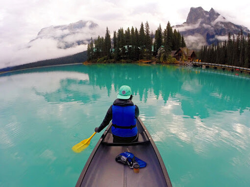 Il mondo vegetale, quello animale e l’uomo sono legati in maniera indissolubile