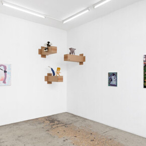 Guillaume Pinard, L'île aux mouches, exhibition view. Courtesy of Anne Barrault Gallery