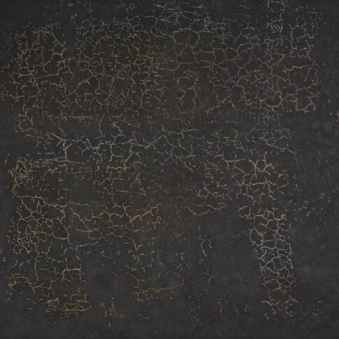 Michael Asbury. Courtesy of Galeria Nara Roesler 