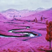 Richard Mosse, “Platon,” North Kivu, Eastern Congo, 2012, Digital c-print, Courtesy of the artist and Jack Shainman Gallery