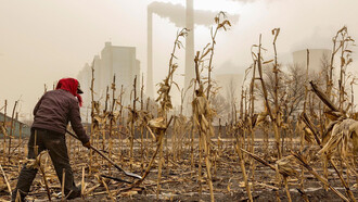 Cerca de una central eléctrica en la provincia de Shanxi, China, un agricultor se prepara para la primavera entre los tallos de maíz del año pasado, cubiertos de hollín