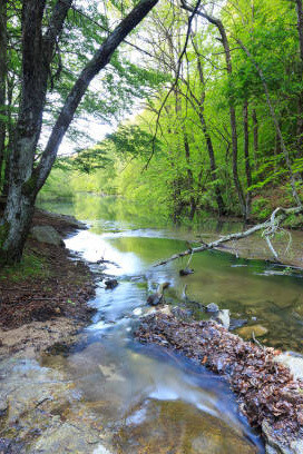 Rio Tordera, Parque Natural El Montseny, Cataluña, España