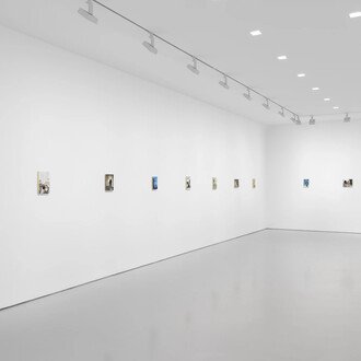 Tim Hawkinson, Cabinet pictures, exhibition view. Courtesy of Miles McEnery Gallery