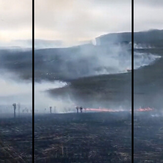 Clemencia Echeverri, Fiebre, 2024. Courtesy of Rolf Art